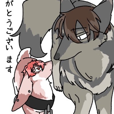 🐈🥫です。さんのプロフィール画像