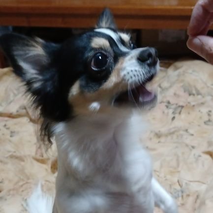 cEyGtcPSX5momlD's profile picture. なんかあった