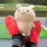 たまねぎ(@Second_golflife) 's Twitter Profile Photo