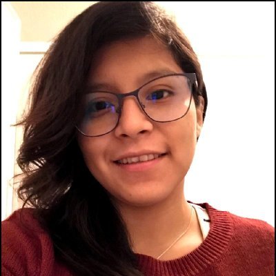 PhD student at @UPV | Computer Science | Researcher at @VRAIN_upv