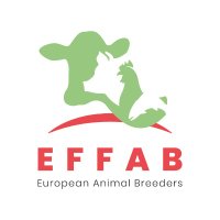 EFFAB(@EFFAB) 's Twitter Profile Photo
