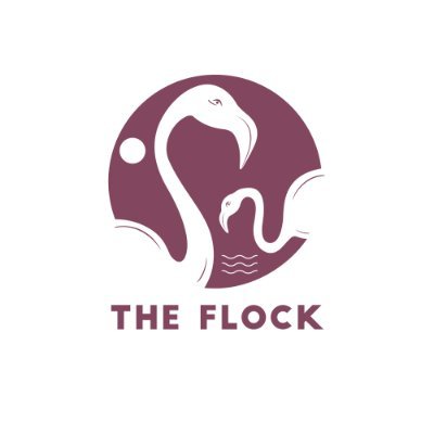 theflockdotin Profile Picture