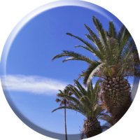 ♩hana♩ (@hana_gimei) Twitter profile photo