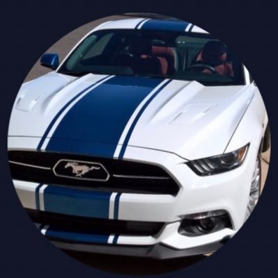 ⚠️‼️ #Follow ➡️➡️ #FollowBack #Follow4Follow 🔙 #cars #shelby #mustang NO DMS 🛑🚫⛔️