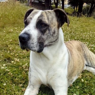 Radhe11490482's profile picture. 🥋🧬🔬🥋