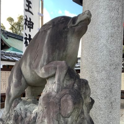 ここ数年で京都大好きに☺️神社仏閣巡りとお庭で癒され⛩食事&スイーツで目とお腹を満たし🍰京都浴を楽しんでます♨️2023年から軽い山登り&ハイキングも始めました🏞️お金系フォロー不要です🙅怪しいDMも🙅