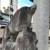 zepzep (@zep818) 's Twitter Profile