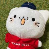 🦁♦️赤獅子のイレブン♦️🦁 (@sisitoh_reds) 's Twitter Profile Photo