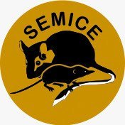 Projecte SEMICE (@semice_) 's Twitter Profile