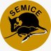 Projecte SEMICE (@SEMICE_) Twitter profile photo