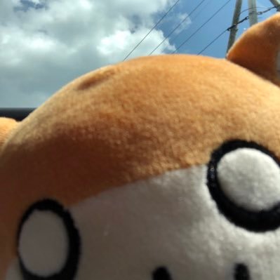 はむちゃん (@hamuhamu0317) / Posts / X はむちゃん (@hamuhamu0317) / Posts / X