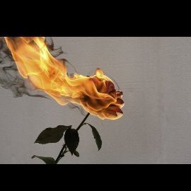 bdalrhm01746649's profile picture. عبدالرحمن حامد
رجل متواضع محب للخير