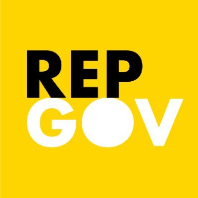 REPGOV project Profile