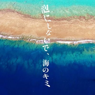 泡にしないで、海のキミさんのプロフィール画像