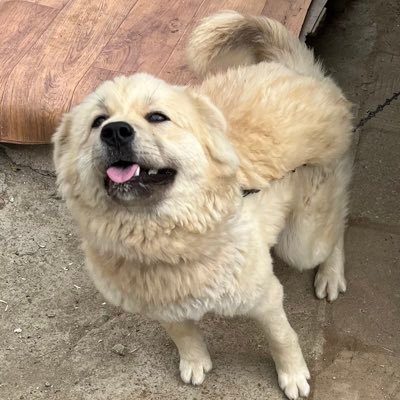 하희さんのプロフィール画像