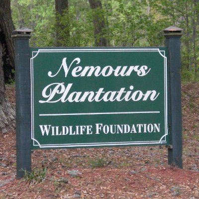 The Nemours Wildlife Foundation was established in 1995 in the heart of the ACE Basin, SC to advance natural resources conservation.