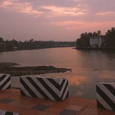 radheef_m's profile picture. 💰