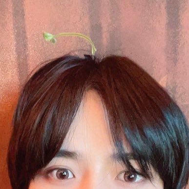 ✢ ทูบา KIBさんのプロフィール画像