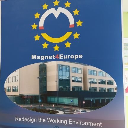 LUH Magnet4 Europe to improve staff well being and patient outcomes 🇮🇪