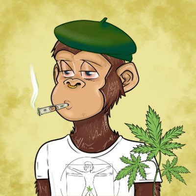 Wilson3Peter's profile picture. Entrepreneur 👨🏻‍💻 Book Lover  📚 
$SOL