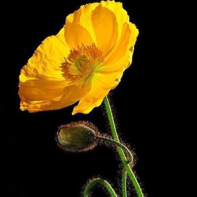 Dilshad60916593's profile picture. Special Secretary Home(Rtd) Former Member State Human Rights Commission