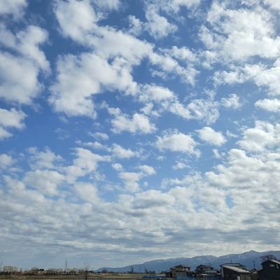 N3Jhc's profile picture. つれづれなるままに大学職員になりました。中途採用。総合大ではありません。/適応障害により休職中