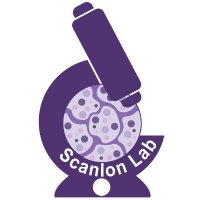 Vanessa Scanlon (@vanessascanlon) 's Twitter Profile Photo Vanessa Scanlon (@vanessascanlon) 's Twitter Profile Photo