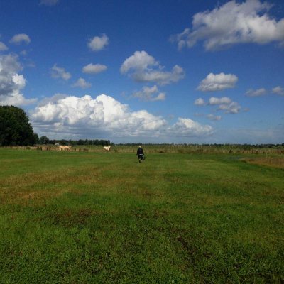 m7ghydh1's profile picture. 