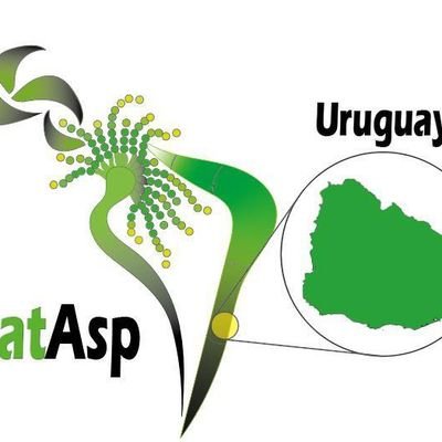 Responsable proyecto LatAsp para Uruguay. Proyecto sobre la resistencia de Aspergillus fumigatus a los compuestos azoles. Proyecto basado en ciencia ciudadana