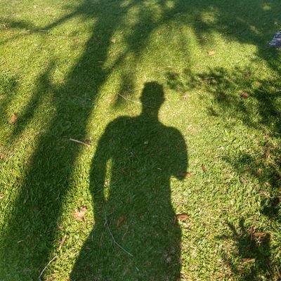 slcyvys's profile picture. 