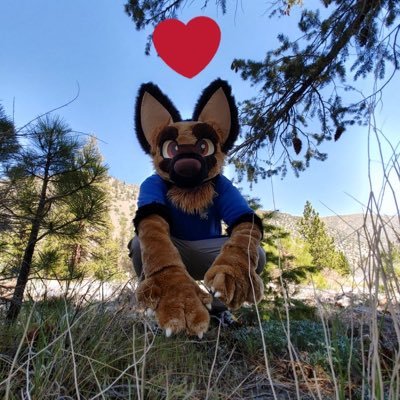 27, He/Him, Accident Prone Sheppy, into hiking, horror, 🛹 , 🐜,reptiles, 🐾’s, old video games, lots of other things on top of that. Fursuit by @lemonbrat