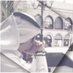 ناجي الخمشي (@naji55n) Twitter profile photo ناجي الخمشي (@naji55n) Twitter profile photo