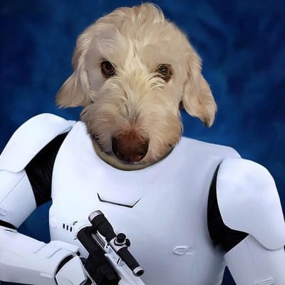 CorinneDupront's profile picture. 