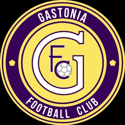 Semipro soccer team out of Gastonia NC| Proud member of @FirstFlight_NC|  For information on potential sponsors/donations contact (732) 586-6336