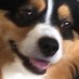 Bill Jackson (@billjac83522513) Twitter profile photo Bill Jackson (@billjac83522513) Twitter profile photo