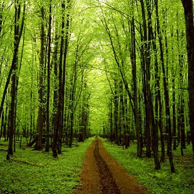 jakeyjakey01's profile picture. 