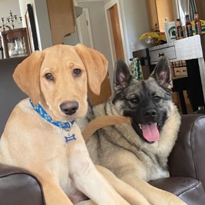 billybot890's profile picture. 