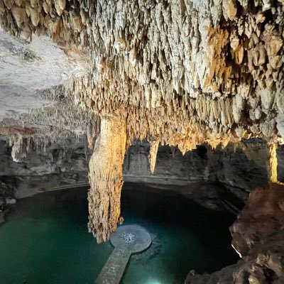 Inge_Agronomo's profile picture. Ph.D Plant Science. 🍇🥑🌽🍋🍊🌳🎄🌱🪴 ♡🍷🕊 Xilhim/Phlohim