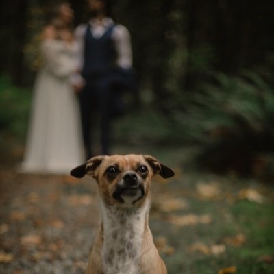 alisamdrh's profile picture. The best things in life don't come easy.