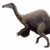 Ozarkasaurus (@joshimperial7) 's Twitter Profile