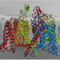 The Flucher Lab (@flucherlab) 's Twitter Profile