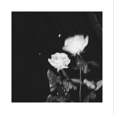 dindacaknyoeh's profile picture. mutualanku, I love you❤