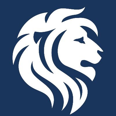 LIONS GROUP - INSIDER CIRCLE 🦁