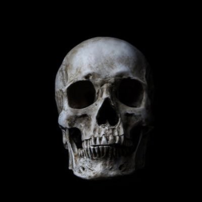 Bernieorbust7's profile picture. leave anon alone.