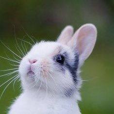 applejelly19's profile picture. idk 02 여자