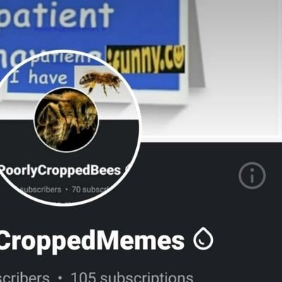 PoorlyCroppediF's profile picture. Ya boy Cropsworth straight outta the other app