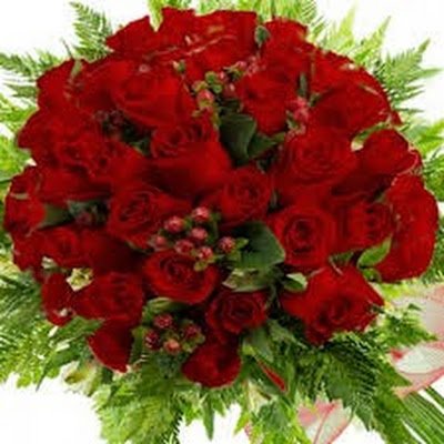 NoraAgu88769334's profile picture. Patricia