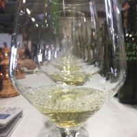 Sara Bachiorri (@tasteinwine) 's Twitter Profile Photo Sara Bachiorri (@tasteinwine) 's Twitter Profile Photo