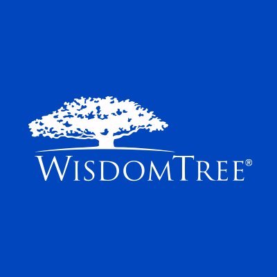WisdomTree is a global financial innovator, empowering investors to shape their futures & supporting financial professionals to better serve their clients.