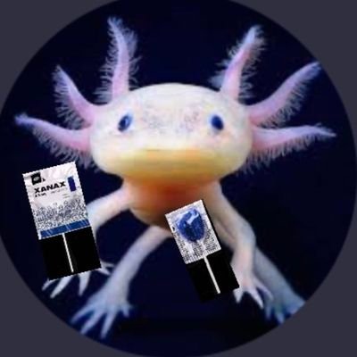 Xan_axolotl Profile Picture